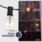 Newhouse Lighting - Outdoor LED G40 String Lights with Weatherproof Technology, 100W Dimmer with Wireless Remote Control, 50ft PSTRINGLEDDIM - alternate 8